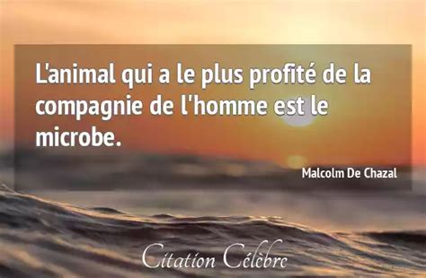 Citation Malcolm de Chazal homme L animal qui a le plus profité de la