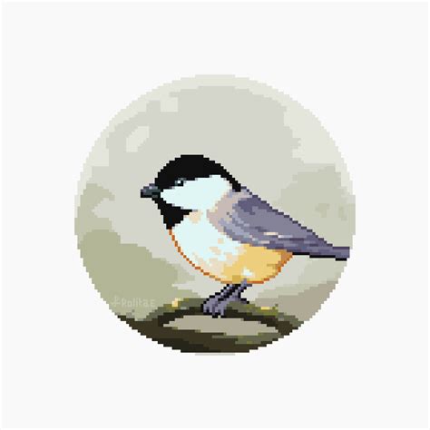 Chickadee by rolitae on DeviantArt