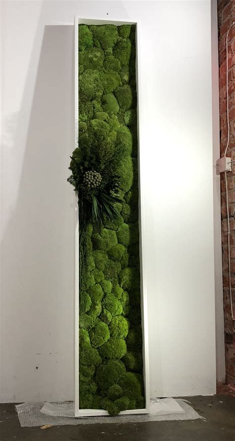 Obraz z mchu leśnego stabilizowanego Vertical garden Moss wall art