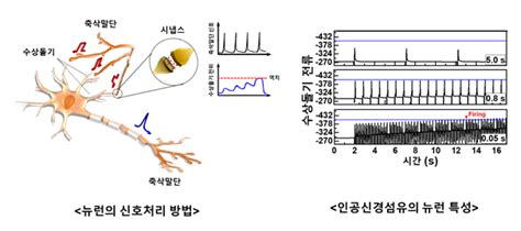 뇌신경세포망 모사 인공섬유소자 개발 Bric