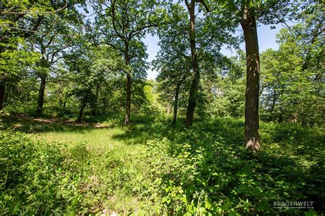 Burgenwelt Schwedenschanze Kelsterbach Altes Haus Deutschland