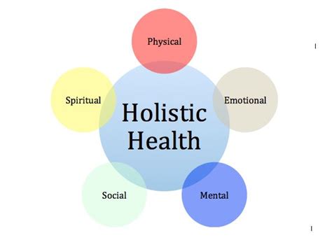 Define And Explain The Different Dimensions Of Holistic Health