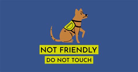 Not Friendly Do Not Touch Do Not Touch T Shirt Teepublic