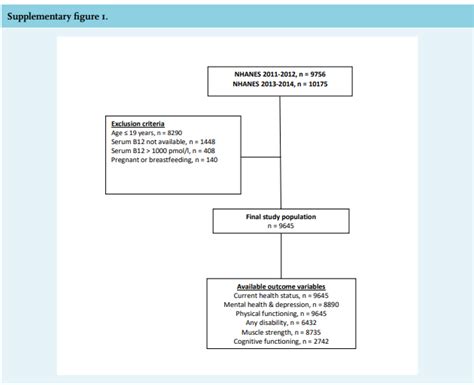 Article Association Of Vitamin B12 Methylmalonic Acid And Functional Parameters Full Text