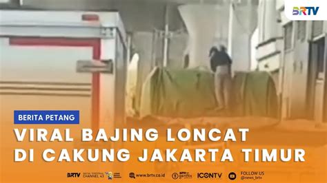 Aksi Bajing Loncat Di Cakung Terekam Kamera Pengendara YouTube