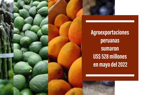 Agroexportaciones Peruanas Sumaron Us 528 Millones En Mayo Del 2022 Tecfresh