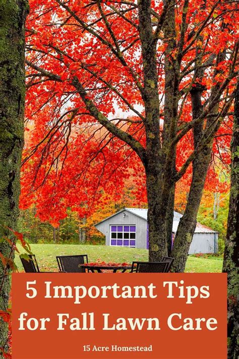 Important Tips For Fall Lawn Care Fall Lawn Fall Lawn Care Lawn Care