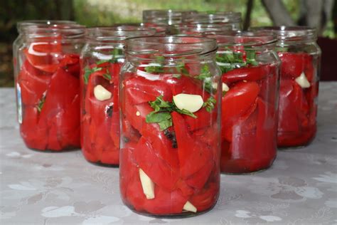 Recept Za Kisele Paprike Zimnica Bez Konzervansa Domaći Kuhar