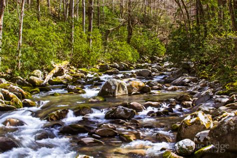 Hiking trails in the Blue Ridge - Our top 10 family favorites - Blue Ridge Mountain Life