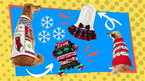 11 Adorable Dog Christmas Sweaters to Get You In the Holiday Spirit ...