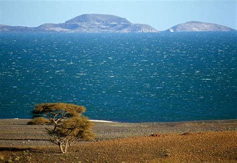 Lake Turkana The Jade Sea Of Northern Kenya Kenya Africa Wonders