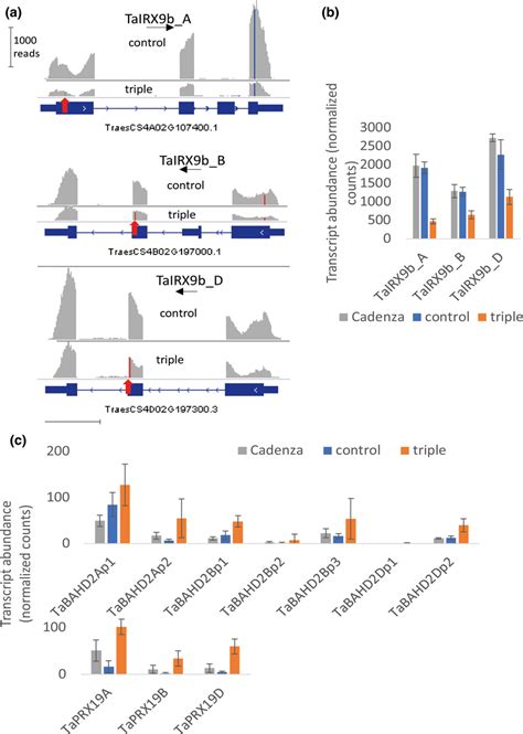 Transcript Abundance Of Selected Genes From Rnaseq Of Endosperm Tissue