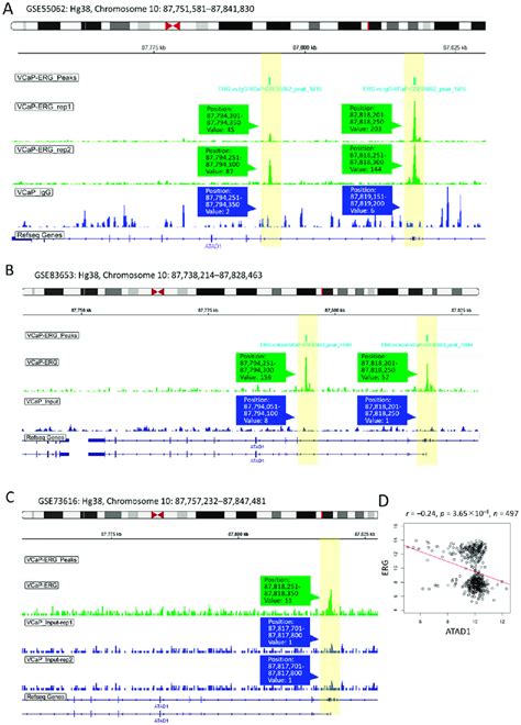 Upstream Transcriptional Repression Of Atad By Erg Chip Seq