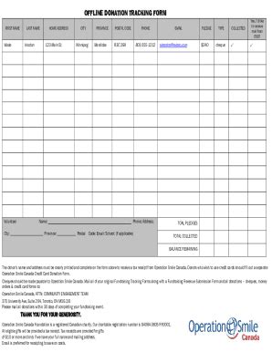 Fillable Online DIY Donation Form Mount Sinai Health System Fax Email