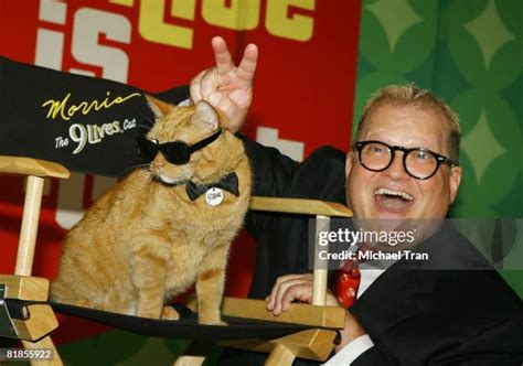 9lives Icon Morris The Cat Photos and Premium High Res Pictures - Getty ...