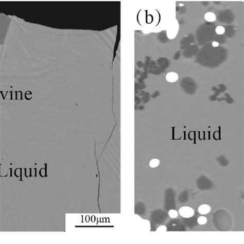 Typical Microstructures Of The Quenched Slags From Primary Phase Fields