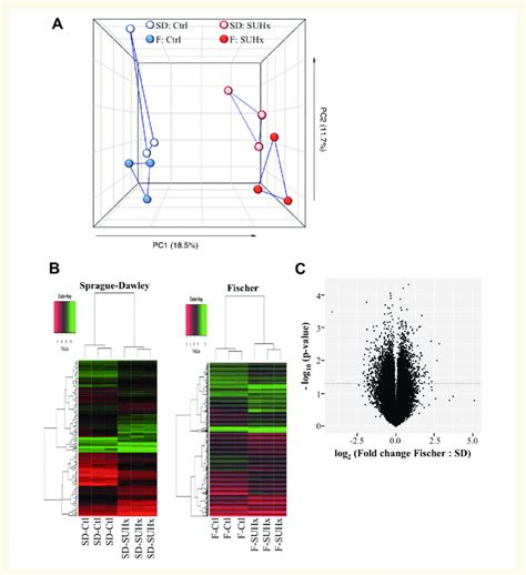 Microarray Analysis Of Gene Expression In The Right Ventricle At 4