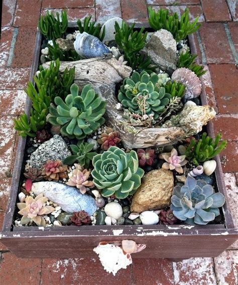 This Container Is A Wonderful Mix Of Succulents And Driftwood Stones