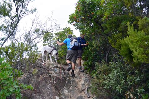 Quelli Che La Montagna Deiva Marina Moneglia