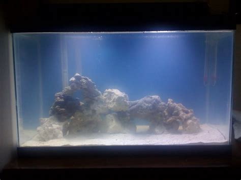 10 Gallon Saltwater Journal - Aquarium Advice - Aquarium Forum Community