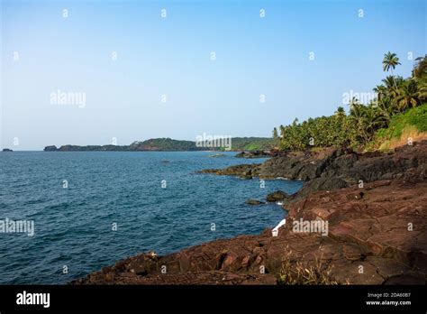 Arabian Sea Meets Rocky Shoreline And Coconut Palm Trees At Cabo De