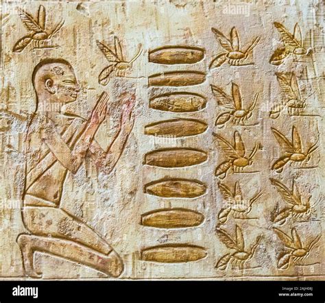 Tomb Ancient Egyptian Honey Hi Res Stock Photography And Images Alamy