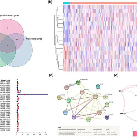 Prognostic Analysis Of The 10 Gene Signature Model In The Test Cohort