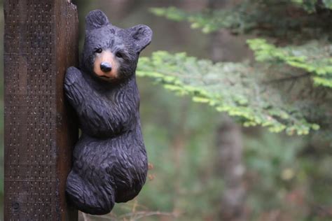 Jeff May Art Realistic Black Bear Cub Climbing