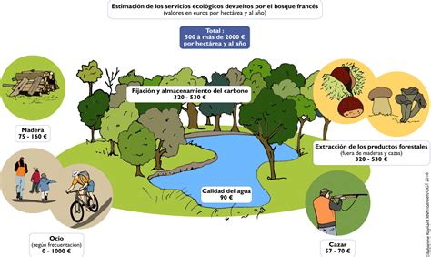 El Valor De La Biodiversidad Projet Biodiv