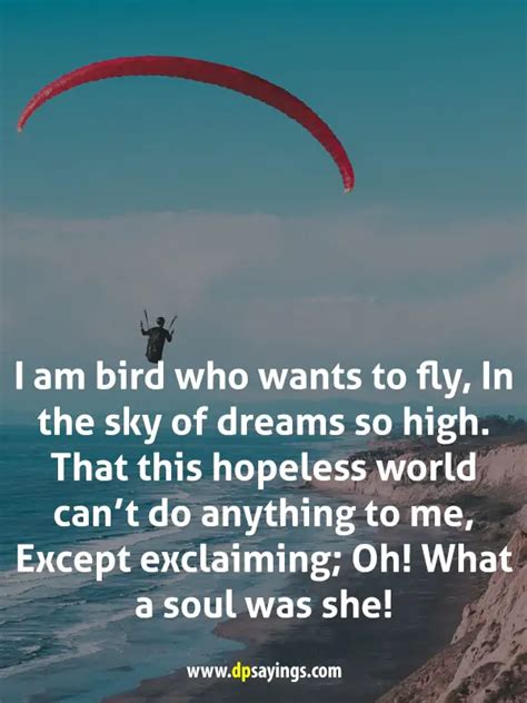 108 Fly High Quotes To Reach The Stars - DP Sayings