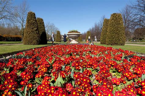 Queen Marys Gardens The Regents Park The Royal Parks