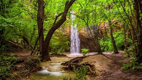 Relaxing Waterfall Sounds For Sleeping | Forest Waterfall Ambience ...