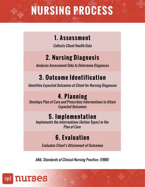 The Fundamentals Of The Nursing Process Qd Nurses