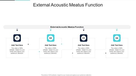 External Acoustic Meatus Function In Powerpoint And Google Slides Cpb