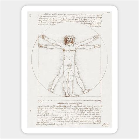 Vitruvian Man By Leonardo Da Vinci Vitruvian Man Sticker Teepublic