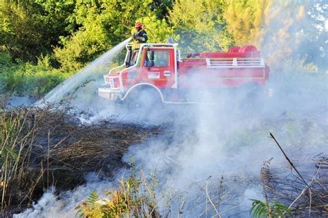 Incendies En Gironde Un Hectare De Végétation Brûlé à Coirac 3 000