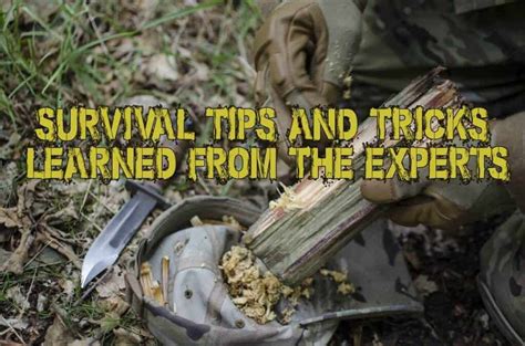 Survival Tips And Tricks Learned From The Experts | Prepper's Will