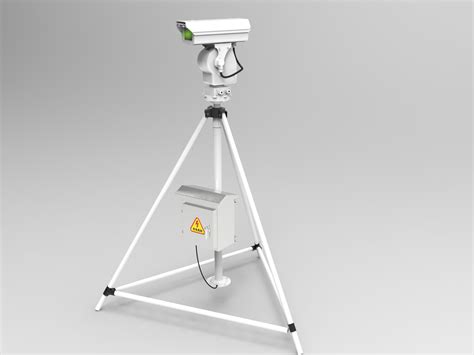 Aviation Safety and Bird Strikes: Risks, Dangers, and Effective