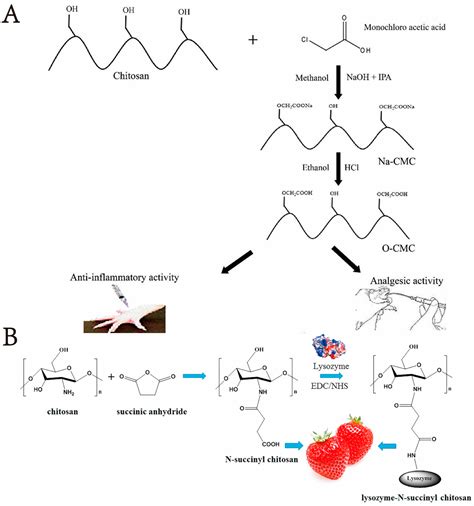 Marine Drugs Free Full Text Progress In Research Of Chitosan