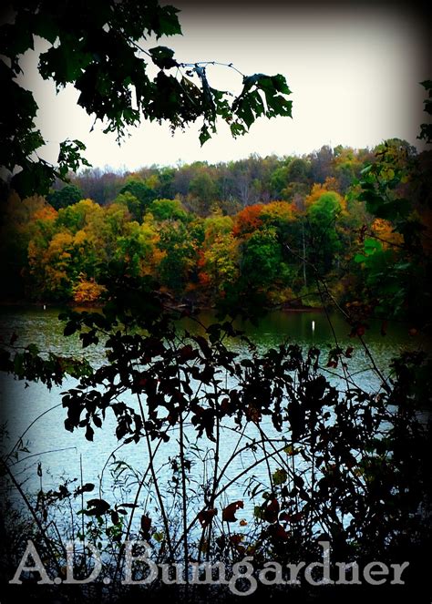 My life, in photos (mostly.): Salt Fork State Park Camping: Set 2