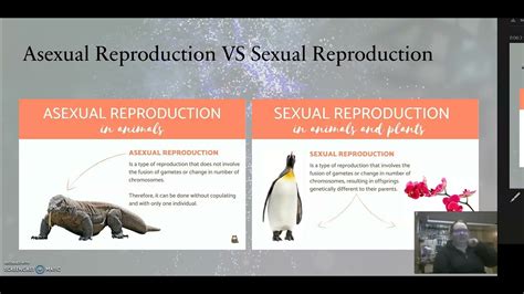 Advantages And Disadvantages Of Sexual Reproduction Youtube