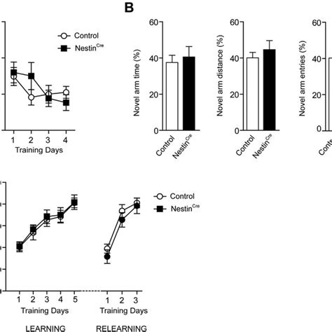 Cre expression in the brain of Nestin Cre adult mice. The expression of ...