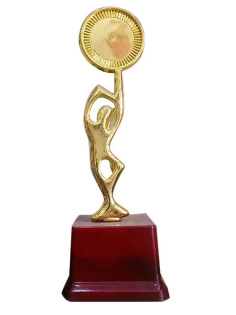 Golden Fibre Sports Award Trophy For College At In Raigad Id