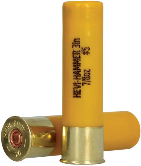 20 Gauge