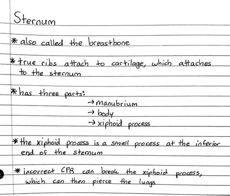 sternum | Medical school stuff, Medical school essentials, Nurse study ...