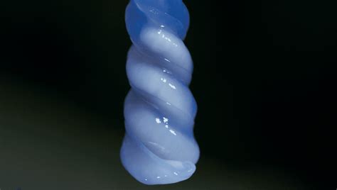 We Interrupt Our Valentine S Day Program To Bring You This Alien Like Slug Sex IFLScience