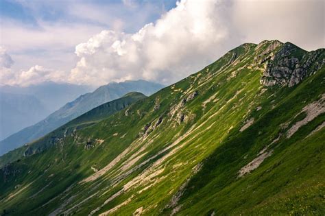 97,000+ Carpathian Mountain Range Pictures