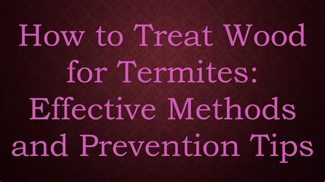 How To Treat Wood For Termites Effective Methods And Prevention Tips