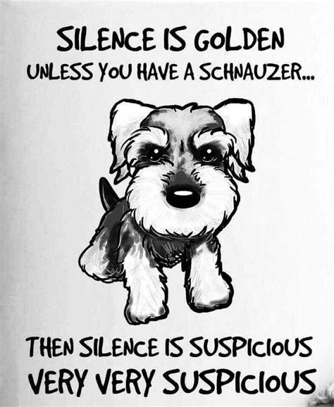 Pin by Diane Mills on Memes | Miniature schnauzer, Schnauzer, Schnauzer ...