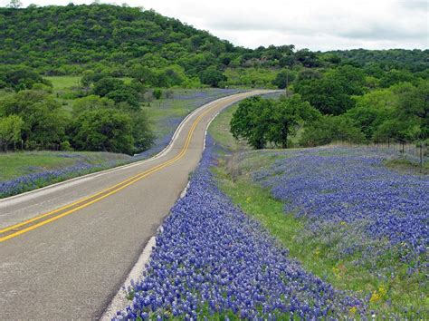 Texas Backroads In Spring Country Roads Take Me Home Country Roads